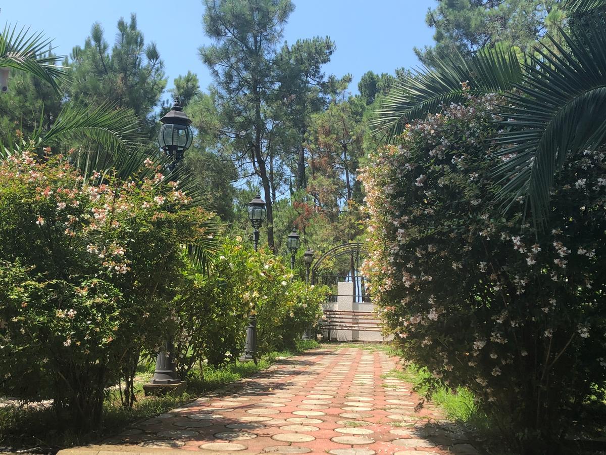 Golden Fleece Hotel Ureki Ngoại thất bức ảnh